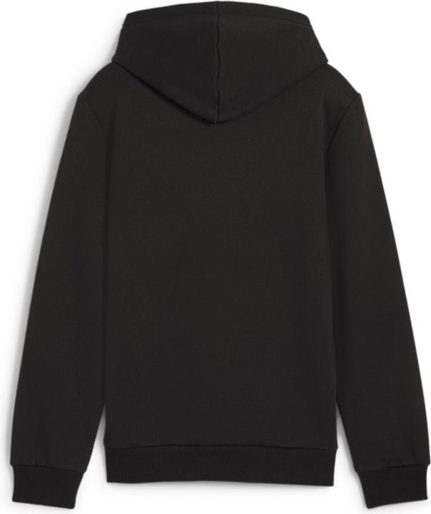Actual product image Puma ESS+ 2 Col Big Logo Hoodie FL B (128)