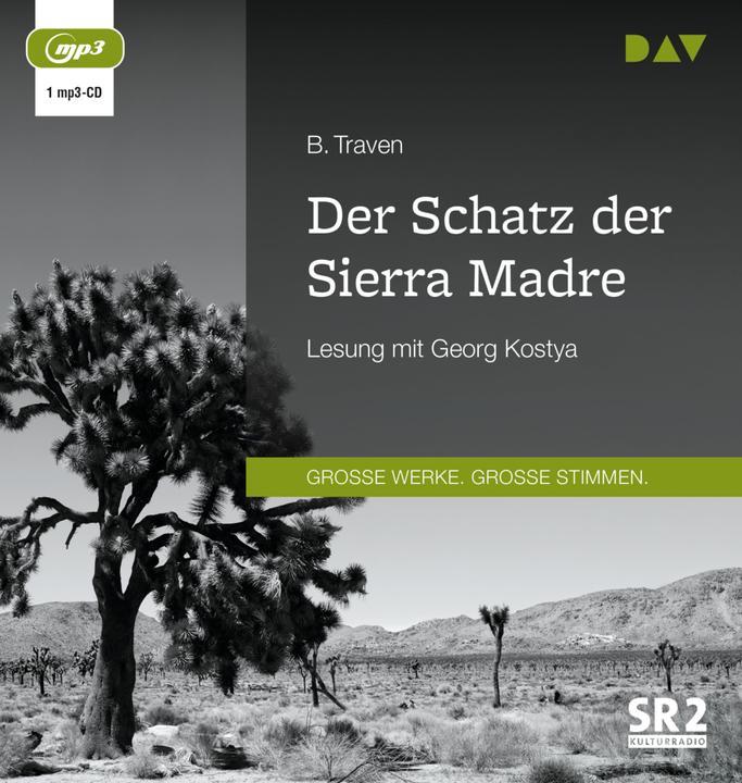 Produktbild Der Schatz der Sierra Madre (B. Traven, Georg Kostya, Deutsch)