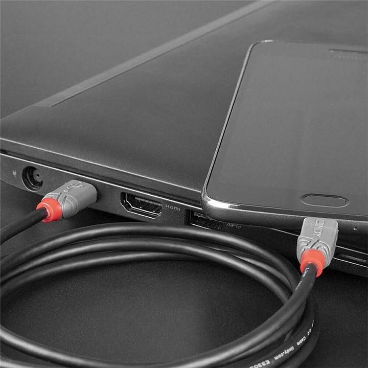 Immagine prodotto Lindy Anthra Line (2 m, USB 2.0)