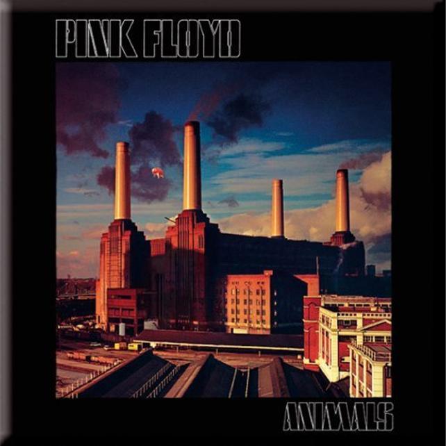 Actual product image Pink Floyd Animals Fridge Magnet (1 x)
