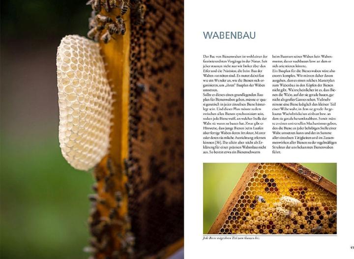 Produktbild Kosmos Bienenwachs und Wachskreislauf (Deutsch, Matthias Schlörholz, 2023)