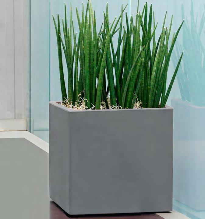 Produktbild Giarnaldo Momus Cubo (50 cm)
