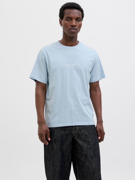 Actual product image Jack & Jones Jorvesterbro Tee Ss Crew Neck Noos (XS)