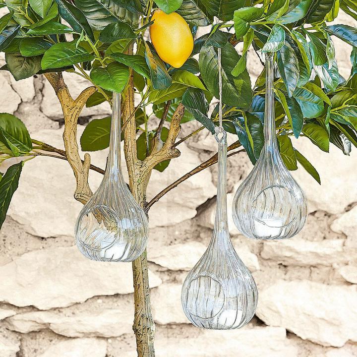 Produktbild Loberon Hängewindlicht 3er Set Fairlie klar (3 x, 10 cm, H)