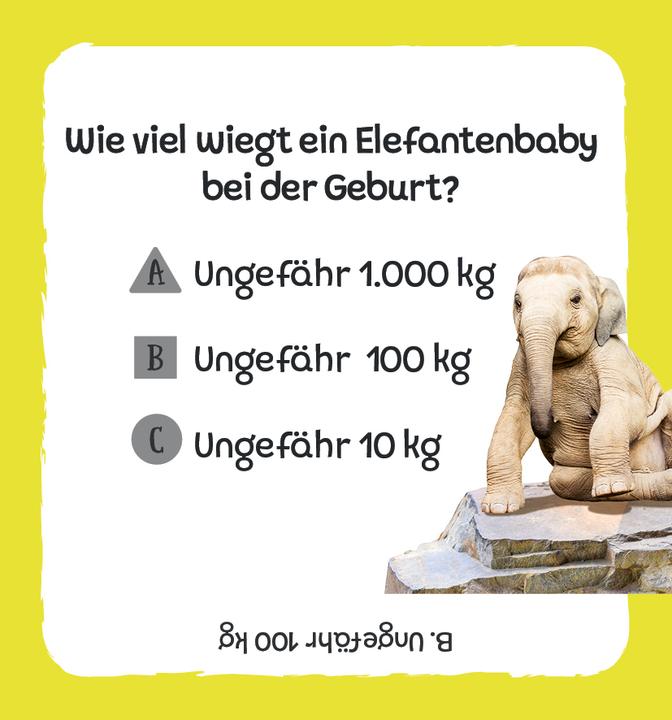 Produktbild Kartenbox: Das grosse Quiz – Tiere (Deutsch)