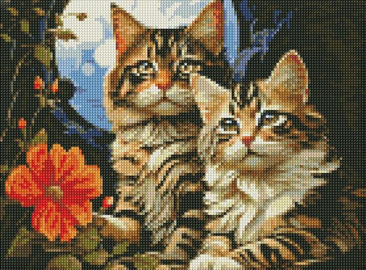 Produktbild Ideyka Diamond Painting - Katzen mit Rahmen 30 x 40 cm