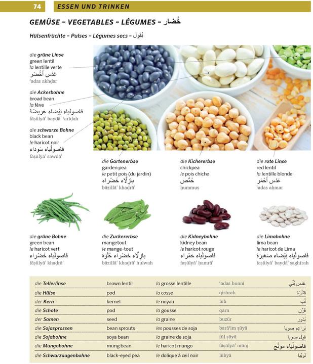 Actual product image Grosses Bildwörterbuch Arabisch - Deutsch + Englisch und Französisch (German, English, French, Arabic, 2019)
