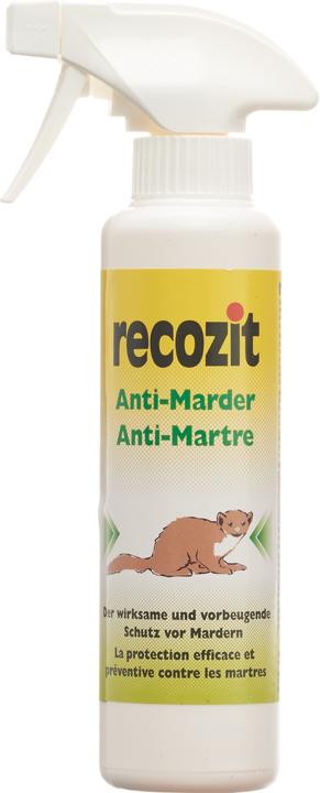 Recozit Anti Marder