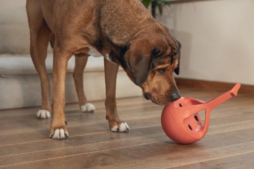 Image du produit Beeztees Jouet en caoutchouc pour chien Wiggle-X