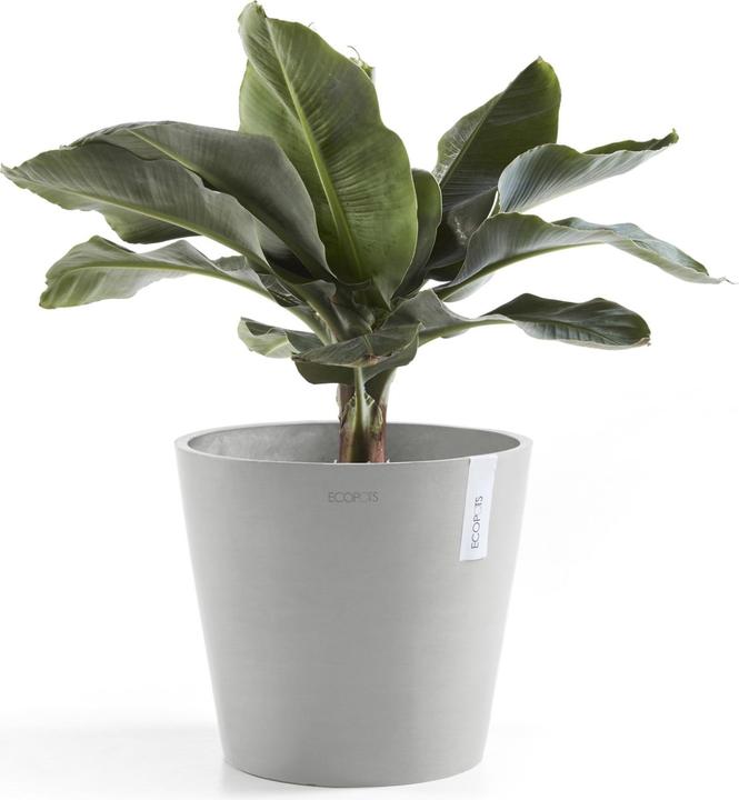 Actual product image Ecopots Amsterdam + Water reservoir (40 cm)
