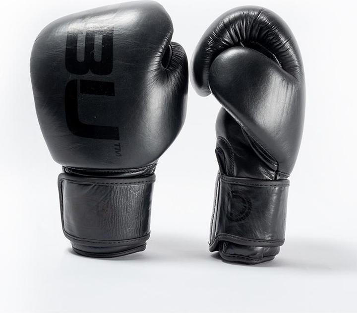 Image du produit Nobu Athletics Gants de boxe PRO (14 OZ)
