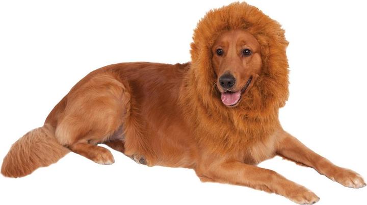 Image du produit Bristol Novelty Costume de chien de l'homme Lion (Déguisement pour chien)