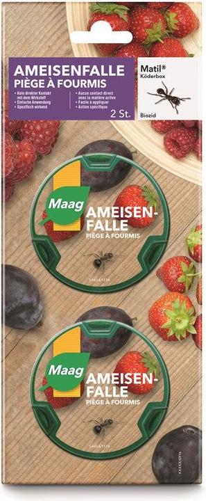Maag Matil Ameisenbox (2 ml)