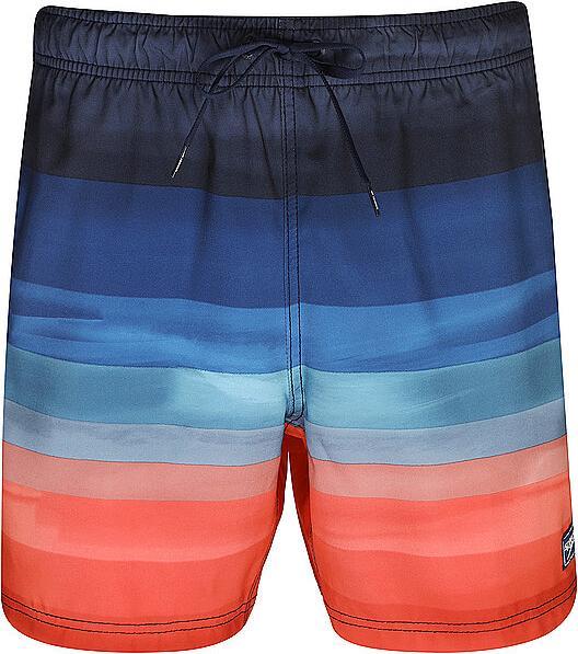 Actual product image Speedo SNA Print Volley 17" Watershorts (L)