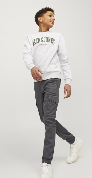 Image du produit Jack & Jones Paul Flake (176)
