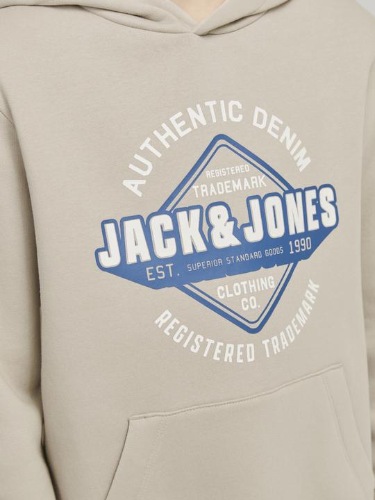 Produktbild Jack & Jones JJELOGO SWEAT HOOD 2 COL 24/25 NOOS JNR (140)