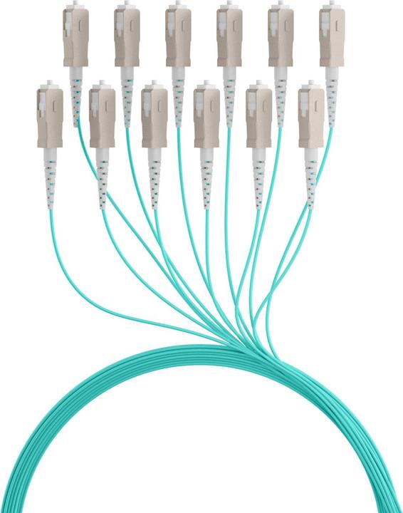 Actual product image EFB Elektronik Trunk cable U-DQ ZN BH OM3 12G 1x12 SC-SC 60m Dca LSZH (60 m)