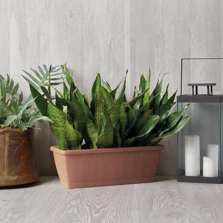 Immagine prodotto Euro3plast Fioriera Greener KEZAR, angolare, 50x20x18cm, in plastica riciclata, in terra (19.50 cm)
