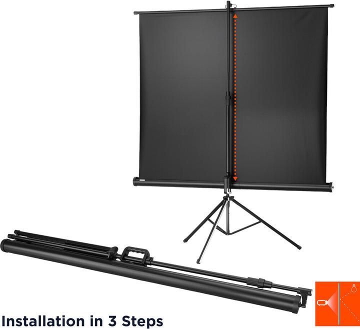 Actual product image Celexon Economy (86", 4:3)