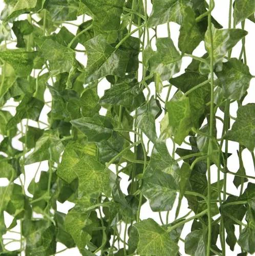 Produktbild Gardlov Efeu-Girlande (210 cm)