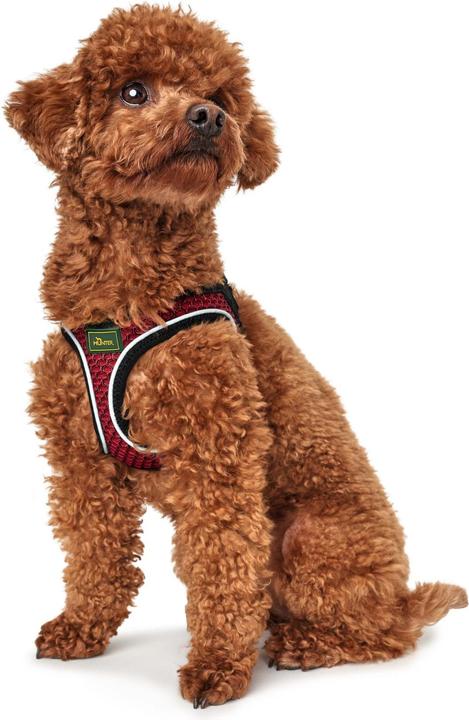 Produktbild Hunter Hundegeschirr Hilo Comfort (XXS, Hund, Allgemein)