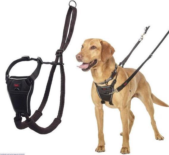 Actual product image Halti No Pull Geschirr (XS, Dog, Dog sport)