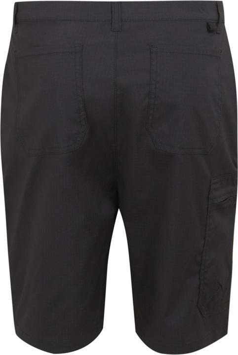 Actual product image Regatta Mens Dalry Multi Pocket Shorts (38)