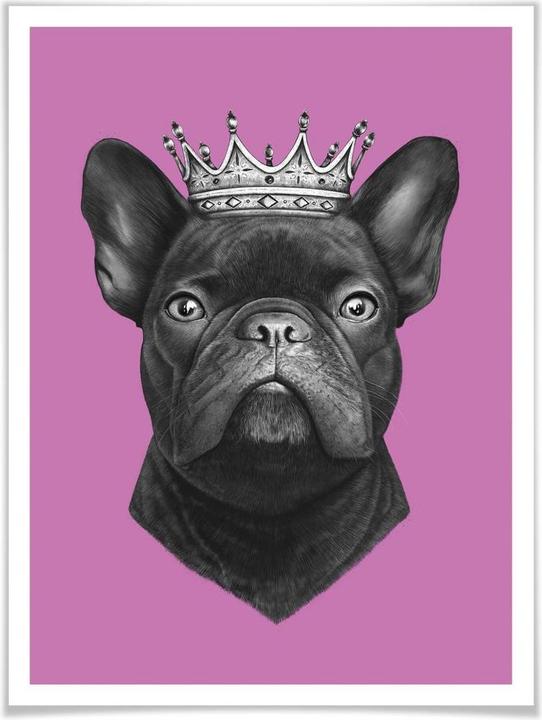 Actual product image Trenddeko King French Bulldog pink (50 x 60 cm)