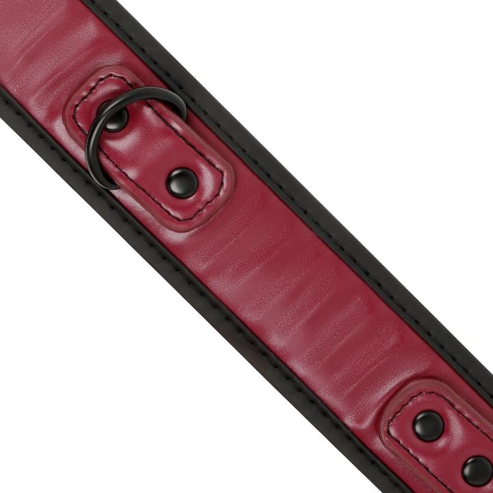 Actual product image Fetish submissive Dark Room Collar Con Cadena Con Forro De Neopreno