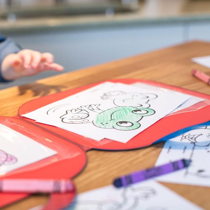 Actual product image Crayola Dry Erase paintbox