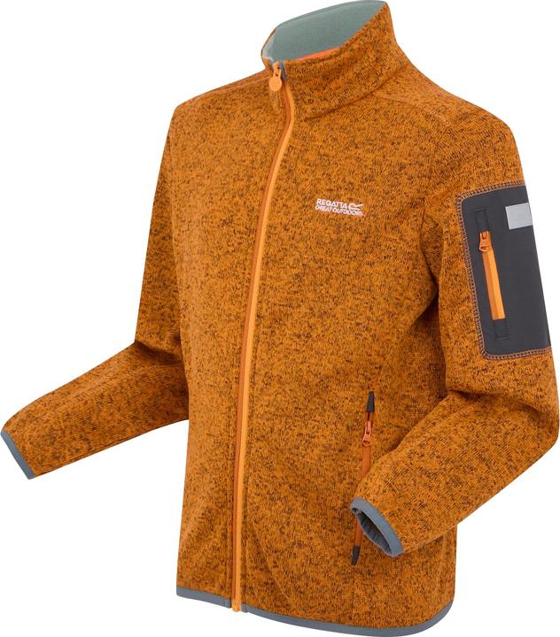 Actual product image Regatta Childrens/Kids Newhill Fleece Jacket (158)
