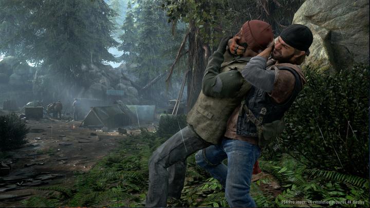 Actual product image Sony Days Gone, PS4 Standard PlayStation 4 (PS4)