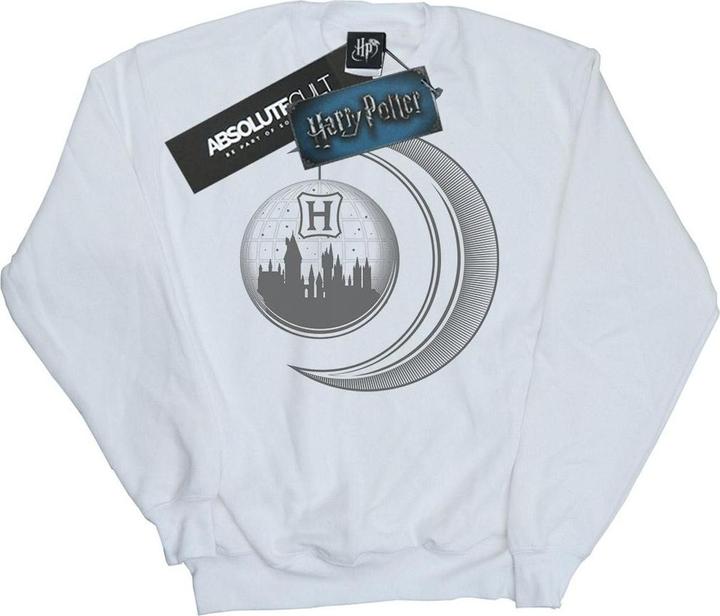Actual product image Mens Hogwarts Moon Sweatshirt (L)
