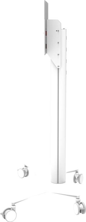 Actual product image Celexon Expert Display Trolley Seoul for Samsung FLIP (65", 50 kg)