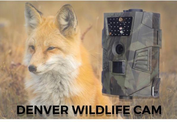 Image du produit Denver WCT-5001 Caméra de surveillance de la faune