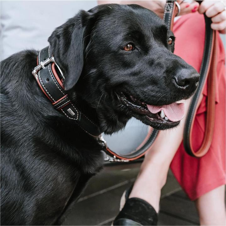 Produktbild Hunter Halsband Canadian Up für Hunde Schwarz M/L (M, L, Hund, Allgemein)