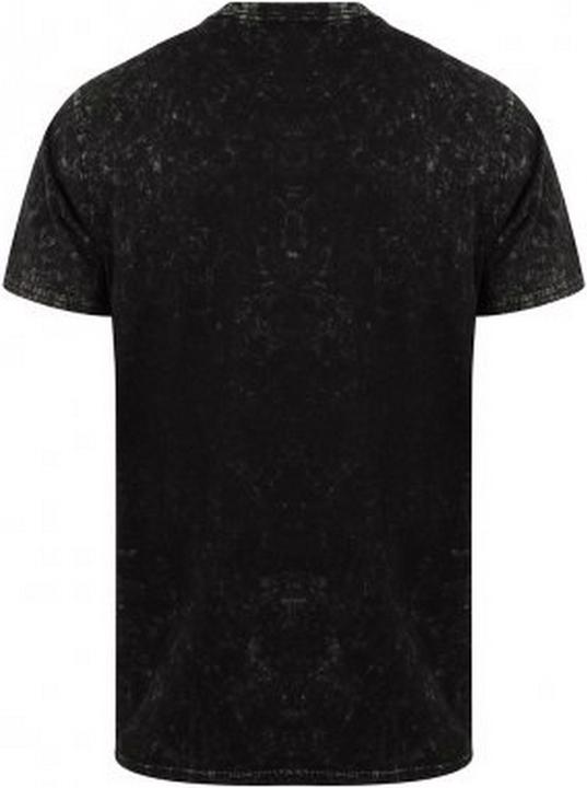 Actual product image Skinni Fit SF Washed Band TShirt (S)