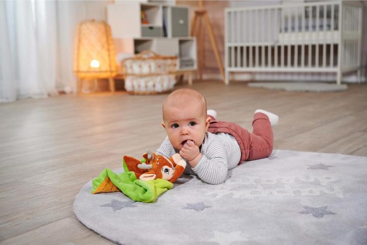 Immagine prodotto ABC Panno per le coccole degli amici della foresta