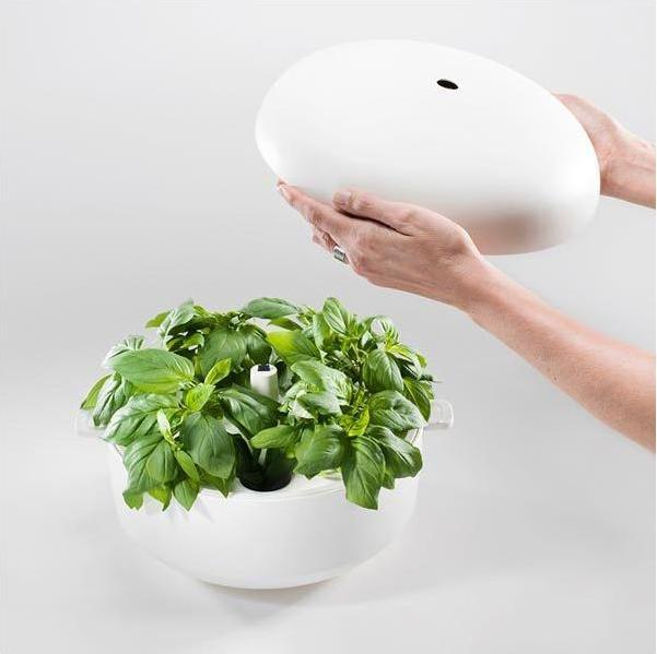Image du produit Plantui Jardin intelligent (29 cm)