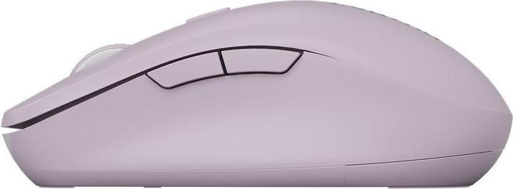 Image du produit Canyon Computer mouse mouse MW-12 Dual band Wireless Pink (Filaire)