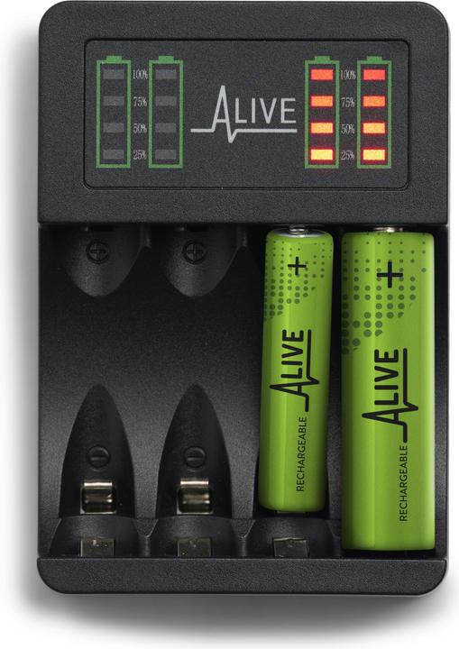 Image du produit Batterieladegerät (1 pcs, Chargeurs sans batterie)