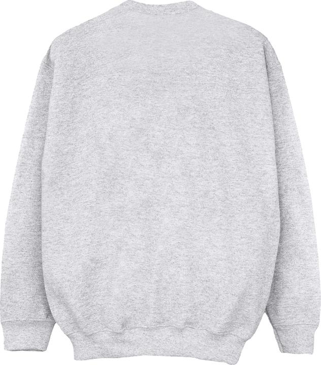 Image du produit Disney - Sweat THE LION KING FUTURE KING - Garçon (140, 146)