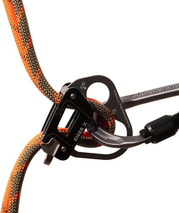 Actual product image Mammut 8.0 Alpine Dry climbing rope (60 m)