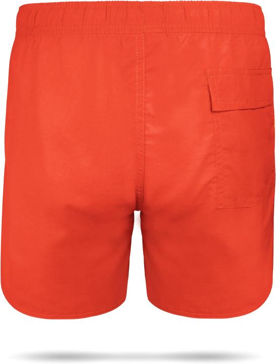 Actual product image Normani Coastline swim shorts (M)