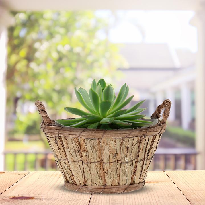 Actual product image Relaxdays 3-piece flower pot set (29 cm)