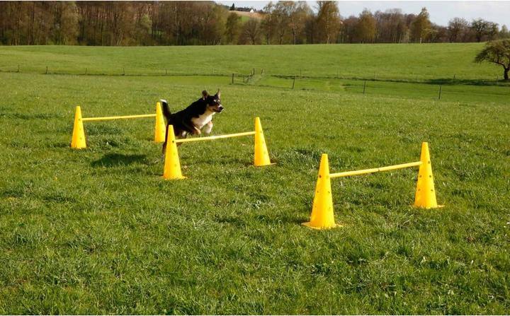 Produktbild Kerbl Agility Pylonen-Hürden Set (One Size, Agility)