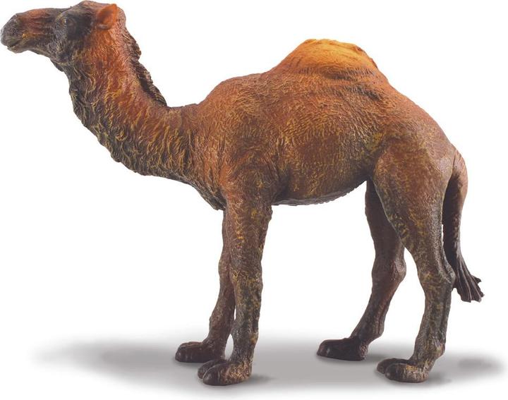 Immagine prodotto Collecta DROMEDARIO (L)