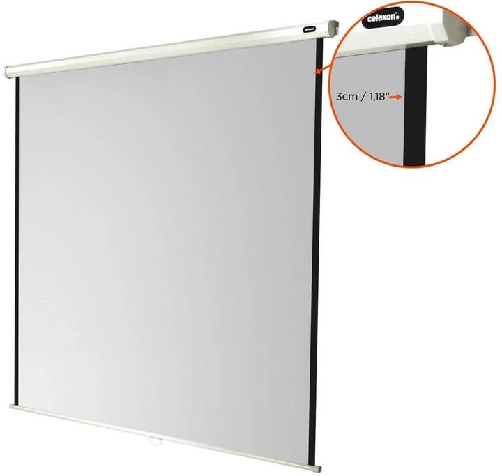 Actual product image Celexon Rollo Economy (122.44", 1:1)