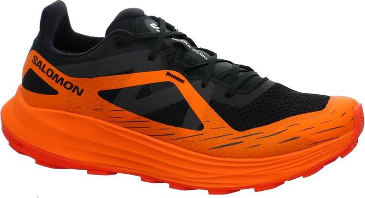 Salomon Ultra Flow GTX (42 2/3)