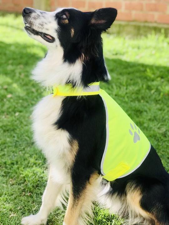 Produktbild Korntex Hundewarnweste (S)